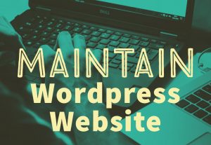 Maintain WordPress Site